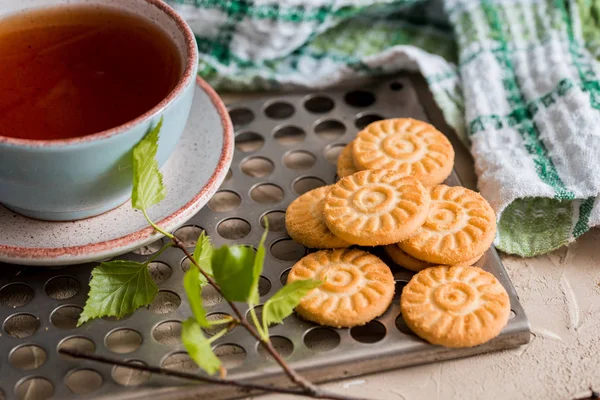 Grüner Tee in Tasse vorhanden. eine Tasse Tee mit rundem Keks auf grüner, leinenkarierter Serviette und eisernem Tablett, grüne Blätter auf Birkenzweigen, Frühlingsknospen. Frühstück am Morgen. — Stockfoto