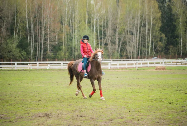 Jeune sportive à cheval en concours de saut d'obstacles équestres. Adolescente monter un cheval — Photo