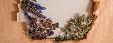 Uzun pankart Kraft paketi, yeniden kullanılabilir çevre ambalajı, ev yapımı çay çiçekleri. Nane limon kremi ve su çiçeği. Arka plan olarak yırtılmış kağıt. Kraft kağıdında delik var. Düz Yat Kopyalama alanı.