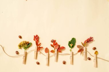 Turkuaz ahşabın üzerinde mandallarla tutulan çamaşır ipinde sonbahar yaprakları.