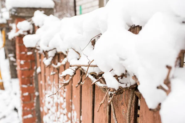 Winter in the village. Wooden frozen fence. Snow and icicles are everywhere. New Year and Christmas mood. Severe frost. Ice in the puddles. Slippery roads.