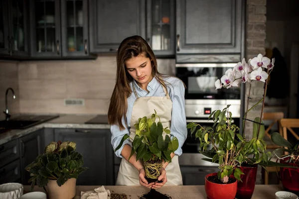 Linda encantadora dos hermanas niñas cuidar de las plantas, jardinería en casa, trasplante de plantas. Chica dedicada a la jardinería en el patio trasero. Concepto de primavera, naturaleza y cuidado — Foto de Stock