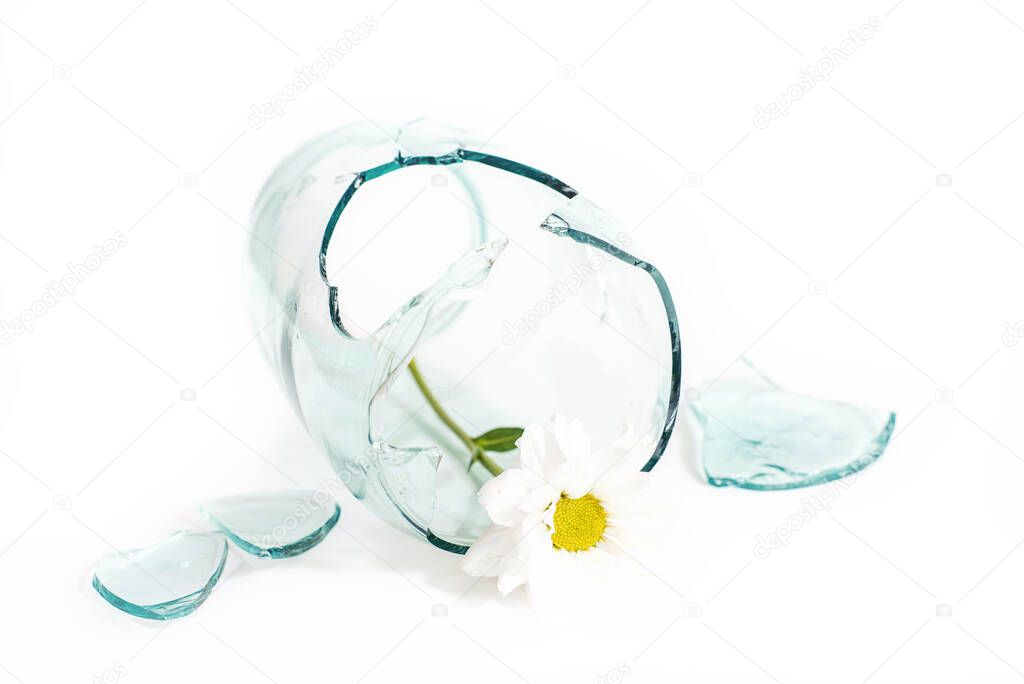 A fragment of one glass jar damaged cracked and cracked, splinters on a white.Two flowers ka symbol of love. concept of unhappy love, negative emotions, separation and loneliness. broken heart