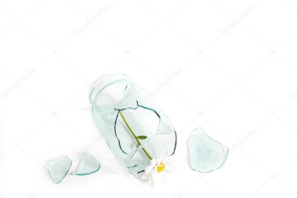glass jar damaged cracked and cracked, splinters on a white. flower symbol of love. concept of unhappy love, negative emotions, separation and loneliness. broken heart