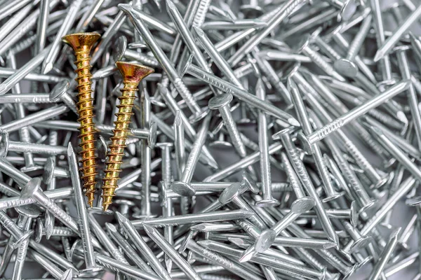 two gold screws in pile of nickel plated construction nails, Stand Out In Crowd conceptual.Business and business growth,individuality and independence.subject the personality and crowd.out the box.