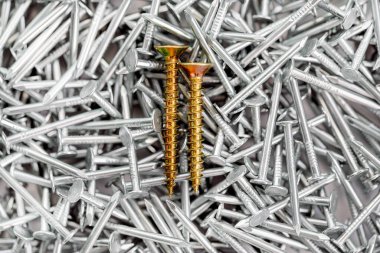 Nikel kaplı çivi yığınında iki altın vida, Kalabalıkta Göze çarpan kavram. İş ve iş büyümesi, bireysellik ve bağımsızlık. Kişiliği ve kalabalığı kutudan çıkar..