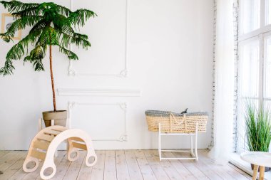 Beyaz duvarlı parlak bir oda. Egzotik kapalı yer bitkileri. Kavanozda palmiye ağacı var. Modern yaşam tarzı. İç mekan. Aile yatak odası..