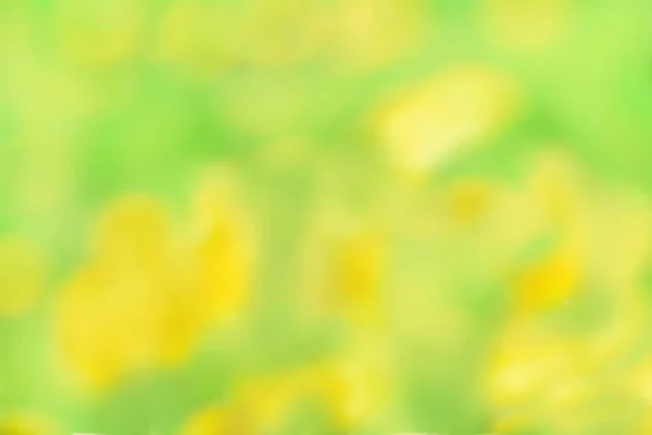 Fond flou jaune-vert. carte printemps été. fleurs d'été. concept de voûtes, égalité, été et jeunesse. lumières bokeh lumière . — Photo