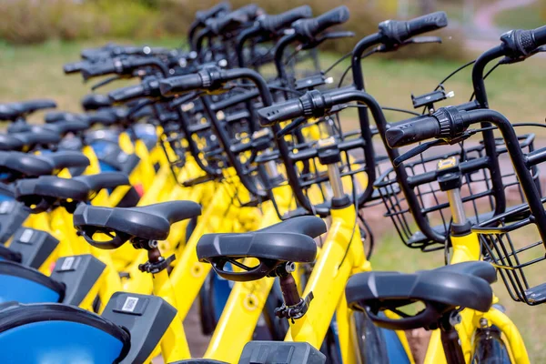 Avrupa 'da bisiklet paylaşımı. Sağlıklı bir yürüyüş. Hızlı sürüş. Dünya Bisiklet Günü 3 Haziran Spor Bisikleti.