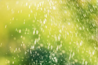 bahar arkaplanı. Yeşil defocus bokeh arkaplan. Çiy damlaları ya da yağmur. Tasarım elementi. Uçan yağmur damlası.