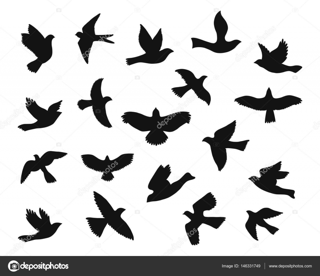 Download Set of bird flying silhouettes. — Stock Vector © maroshka ...