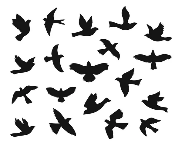 Ensemble de silhouettes volantes oiseaux . — Image vectorielle