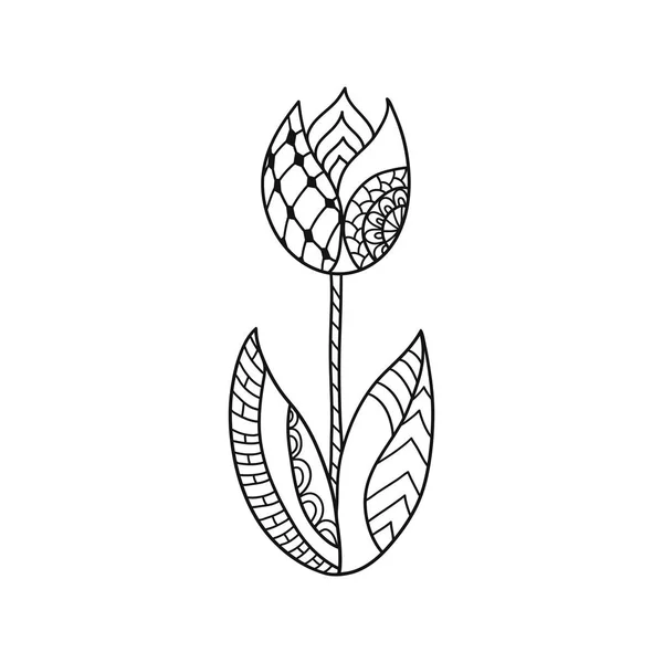 Tulipán ornamental dibujado a mano — Archivo Imágenes Vectoriales