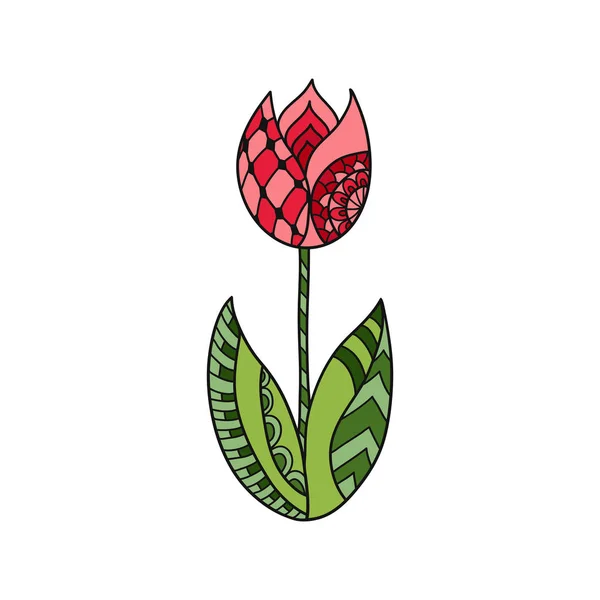 Flor de tulipa ornamental desenhada à mão —  Vetores de Stock