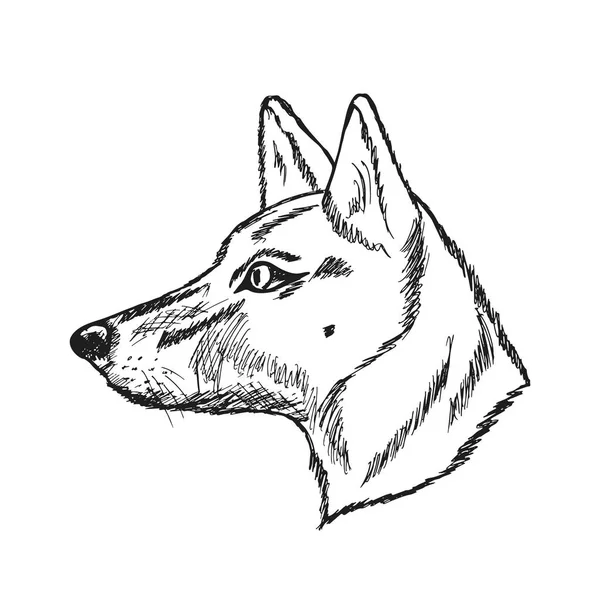 Perro monocromo dibujado a mano en estilo sketch. Ilustración vectorial EPS 10 — Vector de stock