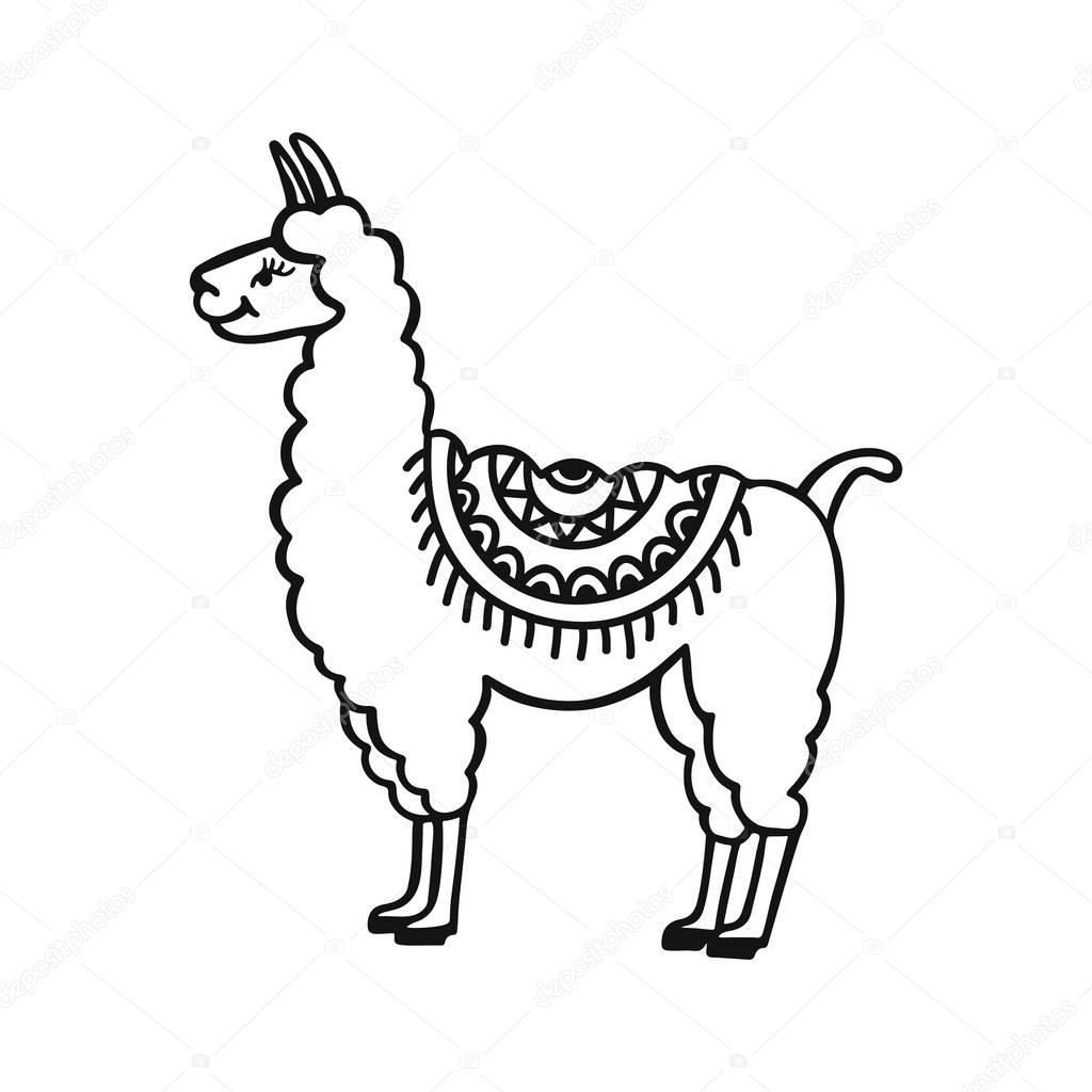 Hand drawn cute little lama. Doodle cartoon vector illustration