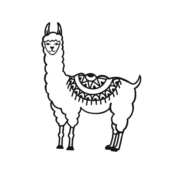 Mână desenat drăguț mic lama. Doodle desen animat vector ilustrare — Vector de stoc