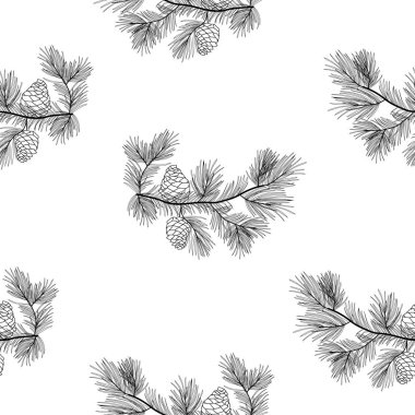Pine tree branches seamless pattern, transparent background. clipart