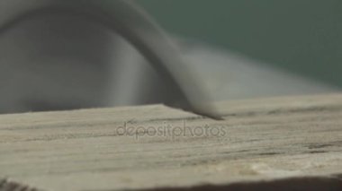 A circular saw saws a wooden board on a neutral background, carpentry.