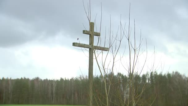 一个古老的木制大十字架 在森林附近的田野里 覆盖着苔藓 阵亡将士的纪念标志 — 图库视频影像