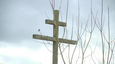 Ormanın yakınındaki bir tarlada yosunlarla kaplı eski ahşap bir haç. Savaş sırasında ölen askerlerin anısına bir sembol..