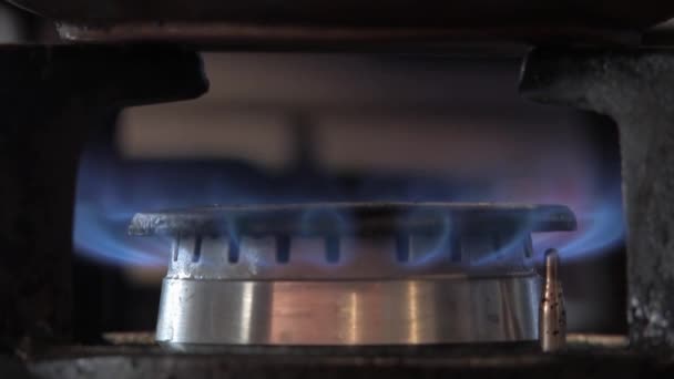 Gas Encendido Una Estufa Gas Fuego Quema — Vídeos de Stock