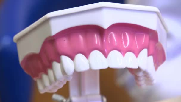 歯や口腔内のレイアウト — ストック動画