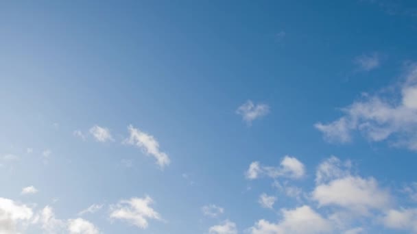 Nubes Blancas Esponjosas Flotan Través Del Cielo Azul Timelapse — Vídeos de Stock