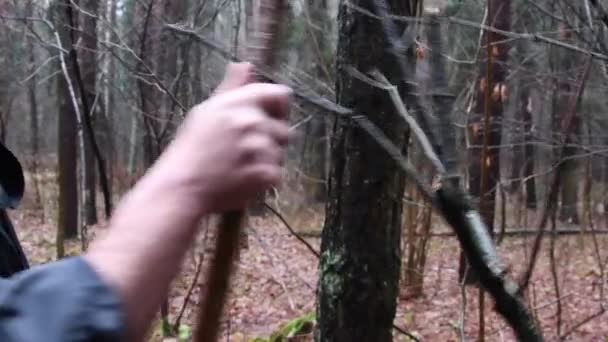 Ein Mönch Schwarzem Gewand Geht Mit Stab Durch Den Wald — Stockvideo