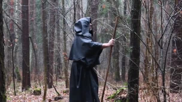 Mnich Černém Rouchu Kráčí Holí Lesem Potulný Druid Sutaně Prochází — Stock video