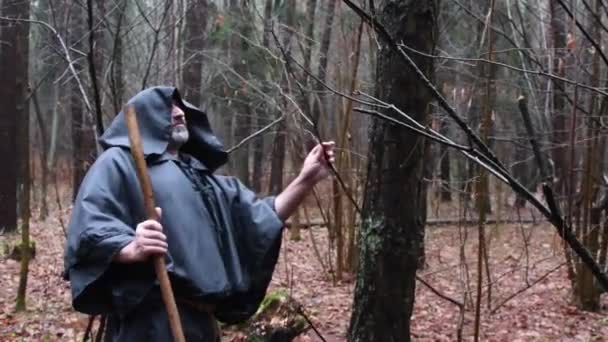 Ein Mönch Schwarzem Gewand Geht Mit Stab Durch Den Wald — Stockvideo