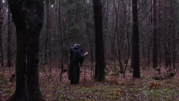 Ein Mönch Schwarzem Gewand Geht Mit Stab Durch Den Wald — Stockvideo