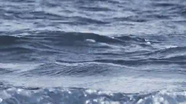 Dark Waves Sea Fleeing One Another Harsh Seascape Endless Water — Stock Video