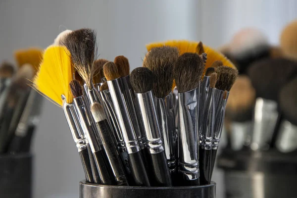 Cosmetic makeup brushes, a working tool for makeup artists in movies and theater