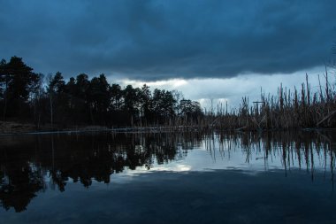 Akşam doğal manzarası, karanlık orman ve gün batımında orman gölü.