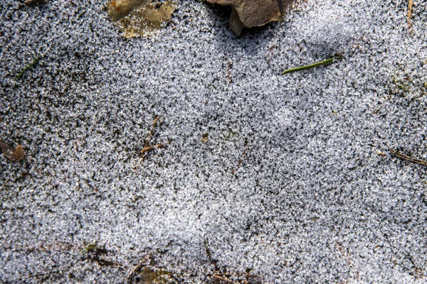 Texturen Iskall Snö Skogen Vägen Små Grenar Och Fläckar Jord — Stockfoto