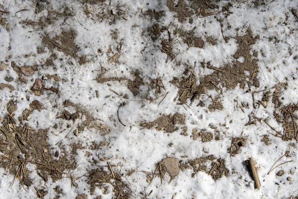 Texturen Iskall Snö Skogen Vägen Små Grenar Och Fläckar Jord — Stockfoto