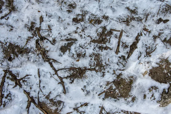 Texturen Iskall Snö Skogen Vägen Små Grenar Och Fläckar Jord — Stockfoto