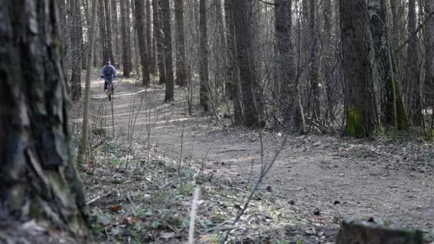 Весной Мужчина Едет Велосипеде Наклонной Лесной Дороге Здоровый Образ Жизни — стоковое видео