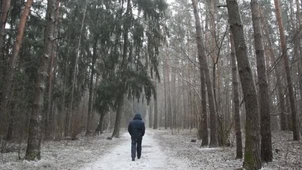 Man Går Längs Skogsstig Snöfallet Från Kameran Tallskogen Slow Motion — Stockvideo