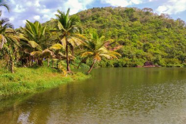Tropik bir gölün arka planındaki palmiye ağacı, yeşil dağlar ve bulutlar, tropikal manzara, güneş parlaması ve renk aydınlatması.