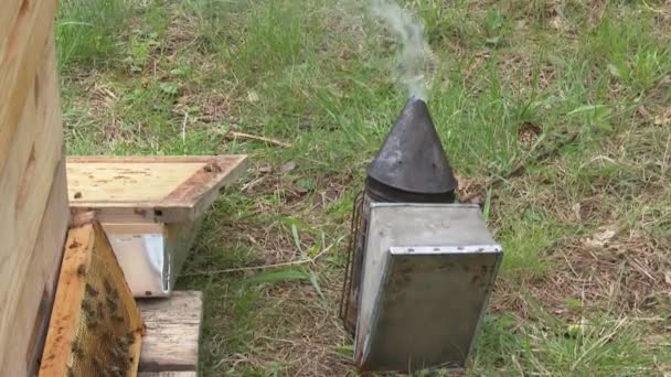 Pistola Fumo Fica Lado Uma Colmeia Madeira Fumaça Rastejante Que — Vídeo de Stock