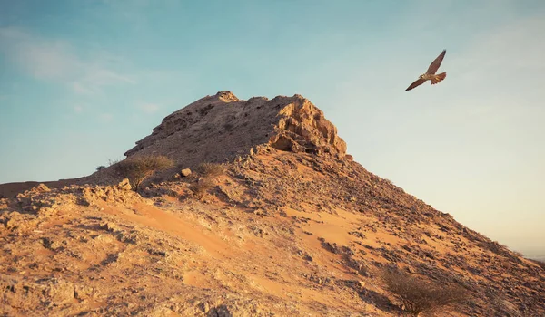 Al Faya dağ - Dubai - Birleşik Arap Emirlikleri