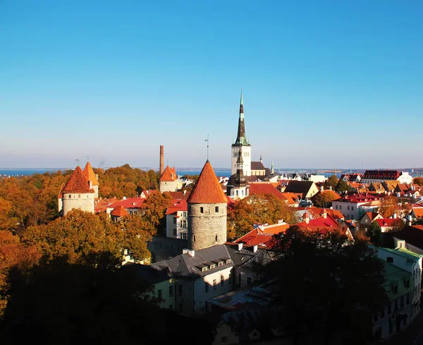 Estonia, Tallinn city sky view — Stock Photo, Image