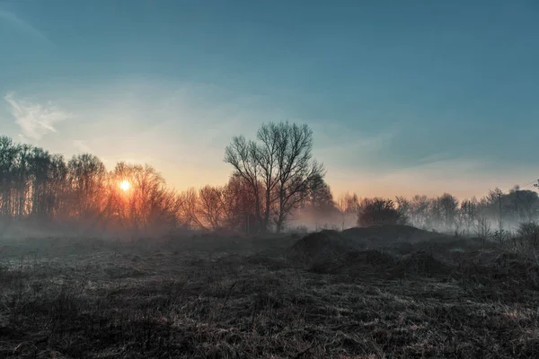 Otoño amanecer en el campo en el borde del bosque —  Fotos de Stock