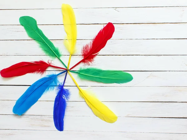 Belas penas multicoloridas em um fundo de madeira branco — Fotografia de Stock