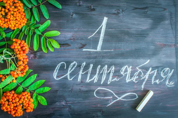 Inscription en russe "Septembre 1" avec des feuilles de Rowanberry et des baies sur un fond en bois. Carte cadeau de voeux pour le jour de la connaissance. Lettrage à la main . — Photo