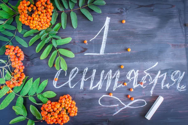 Inscription en russe "Septembre 1" avec des feuilles de Rowanberry et des baies sur un fond en bois. Carte cadeau de voeux pour le jour de la connaissance. Lettrage à la main . — Photo