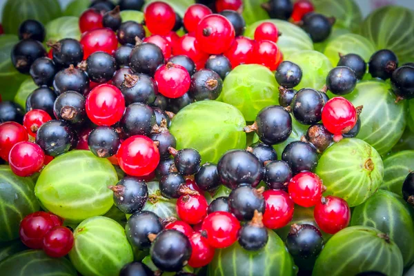 Una mezcla de frutas jugosas maduras y bayas se cierran. Grosellas, grosellas. Fondo de fruta hermosa — Foto de Stock