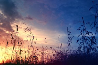Çim ne zaman gün batımı